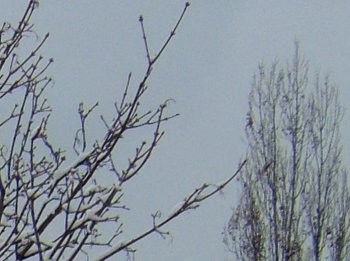 Kompakt se šesti miliony "ve stoje"