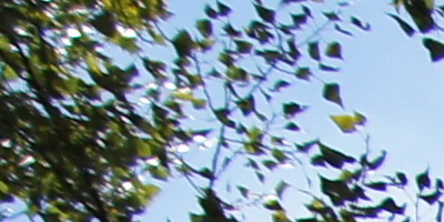 Sony SAL-1855 (DT 18-55mm F3,5-5,6 SAM)