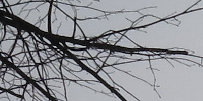 Canon PowerShot G15: lépe už to (asi) nepůjde