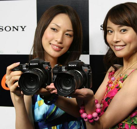 Svět za zrcadlem: Úvod