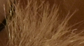 Nikon D7200: přesvědčivé zrcadlo