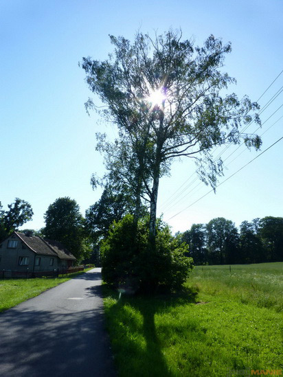 Panasonic Lumix TZ30: pokračovatel slavného rodu?