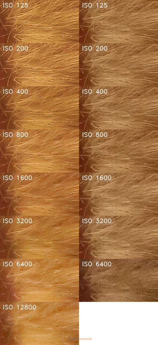 Canon PowerShot G9 X vs Sony Cyber-shot RX100