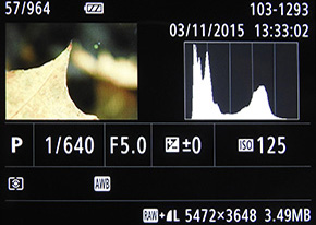 Canon PowerShot G3 X: spousta zoomu v malém těle