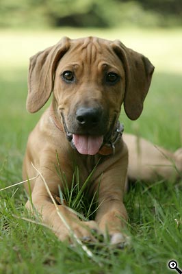 Cesta ke kvalitní fotografii: 4.díl