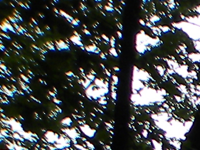 Nikon Coolpix P90: napodruhé mnohem lépe