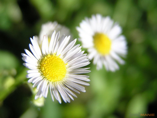 Starý vs. nový aneb megapixely k ničemu?