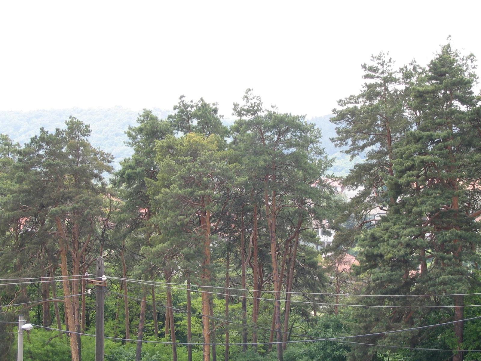 Canon PowerShot A75: S manuálem na věčné časy a nikdy jinak