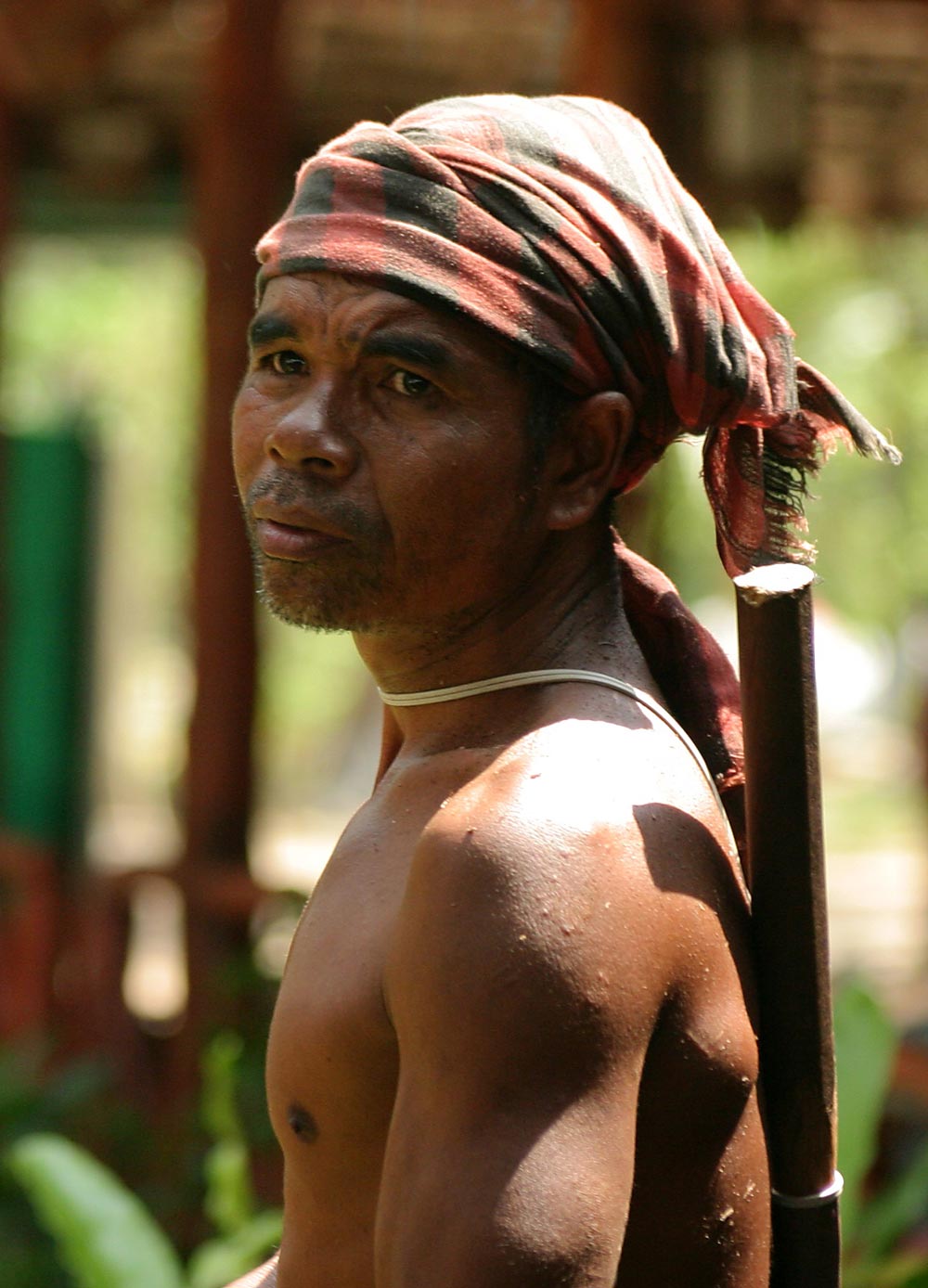 Fotoškola - 1.díl: Analogový nebo digitální fotoaparát?