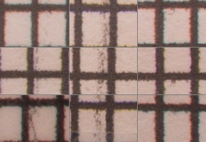 Olympus M.Zuiko Digital ED 12-50mm 1:3,5-6,3 EZ