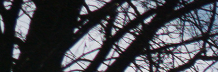 Panasonic Lumix LX100: pozoruhodný profi kompakt