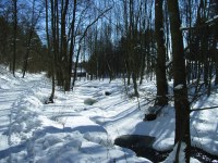 Caplio R1: Široká kompaktní náruč