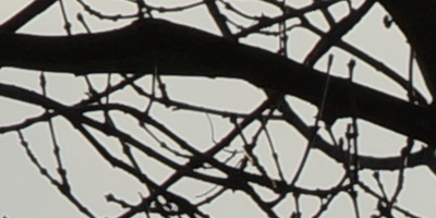 Sony SAL-70400G (70-400mm F4-5,6 SSM G)