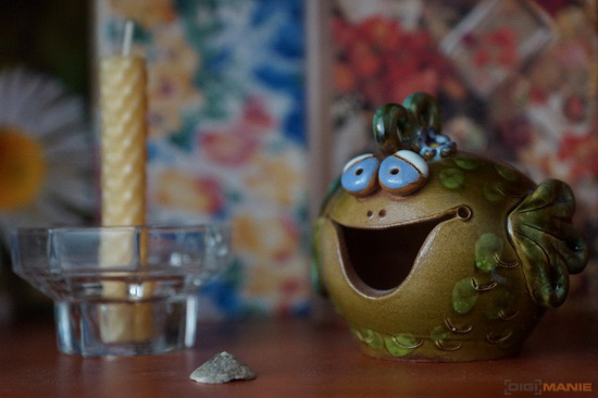 Sony SLT-A77: megapixelový přeborník