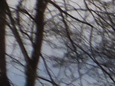 Fujifilm FinePix F300EXR: klame tělem