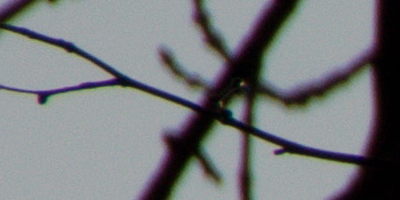 Sony SAL-18250 (DT 18-250mm F3,5-6,3)