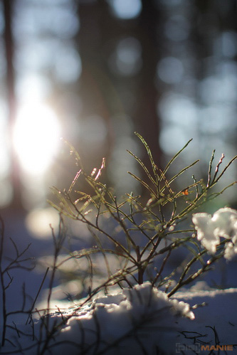 Srovnávací test pevných 50mm objektivů