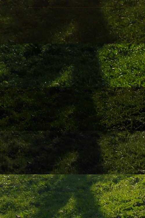 Starý vs. nový aneb megapixely k ničemu?