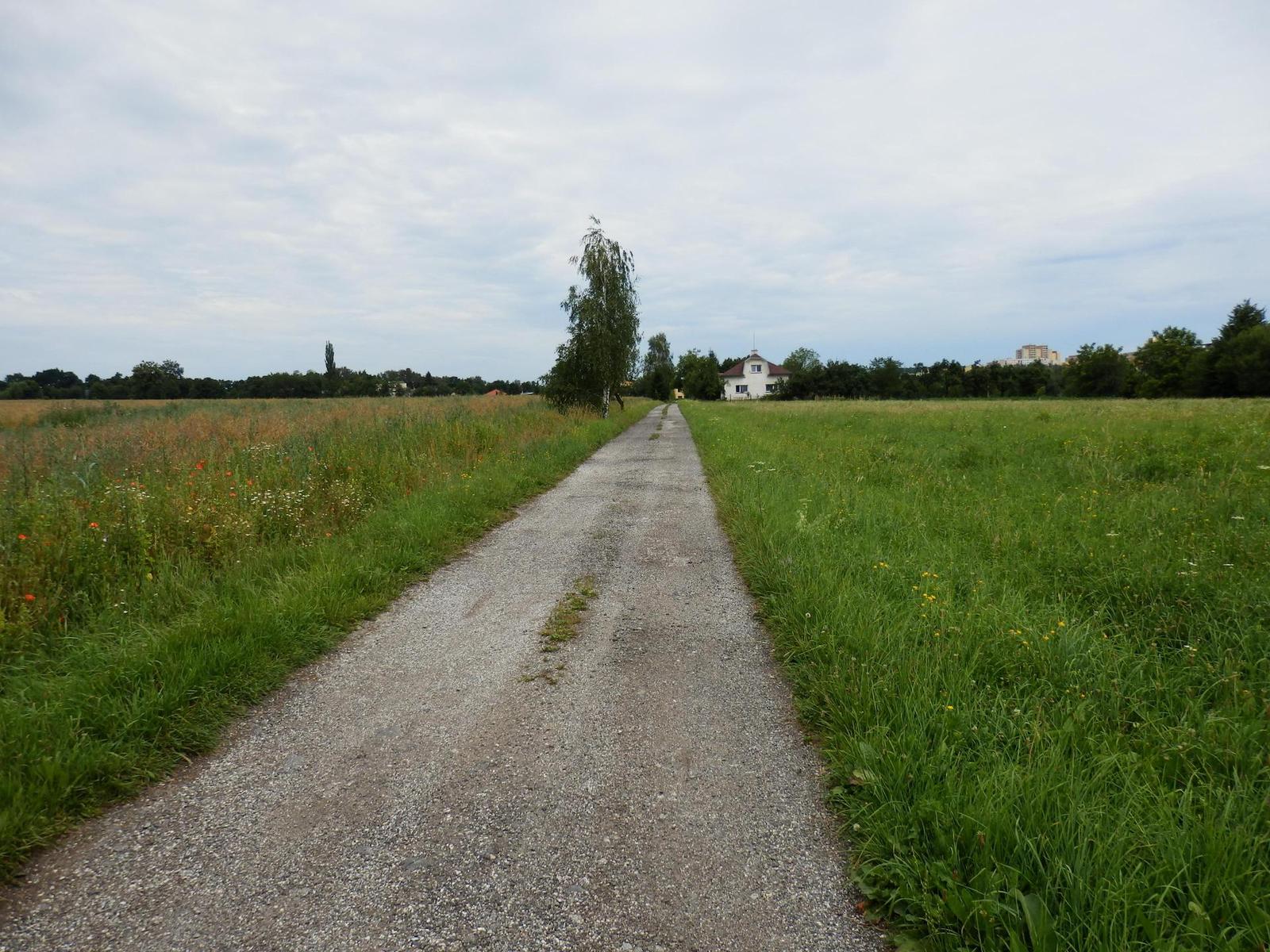 Olympus SZ-31MR: makroborec