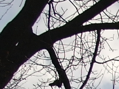 Samsung NX100: "zrcadlovka" do kapsy