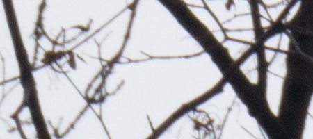 Sony DT 18-55mm 3.5-5.6 SAM II (SAL-1855-2)