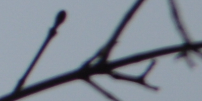 Nikon AF-S NIKKOR DX 55-300mm 1:4.5-5.6G ED VR