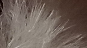 Sony Cyber-shot RX100 III (RX100M3): superSony