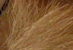 Nikon Coolpix A: velmi příjemná (ne)výraznost