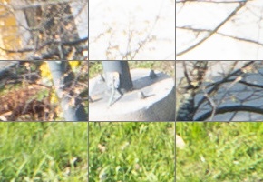 Panasonic Lumix S 24-105mm F4 Macro O.I.S.