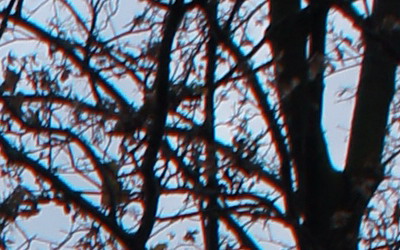 Sony SEL-1855 (E 3.5-5.6/18-55 OSS)