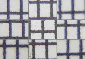 Nikon Coolpix B700: přírodovědec