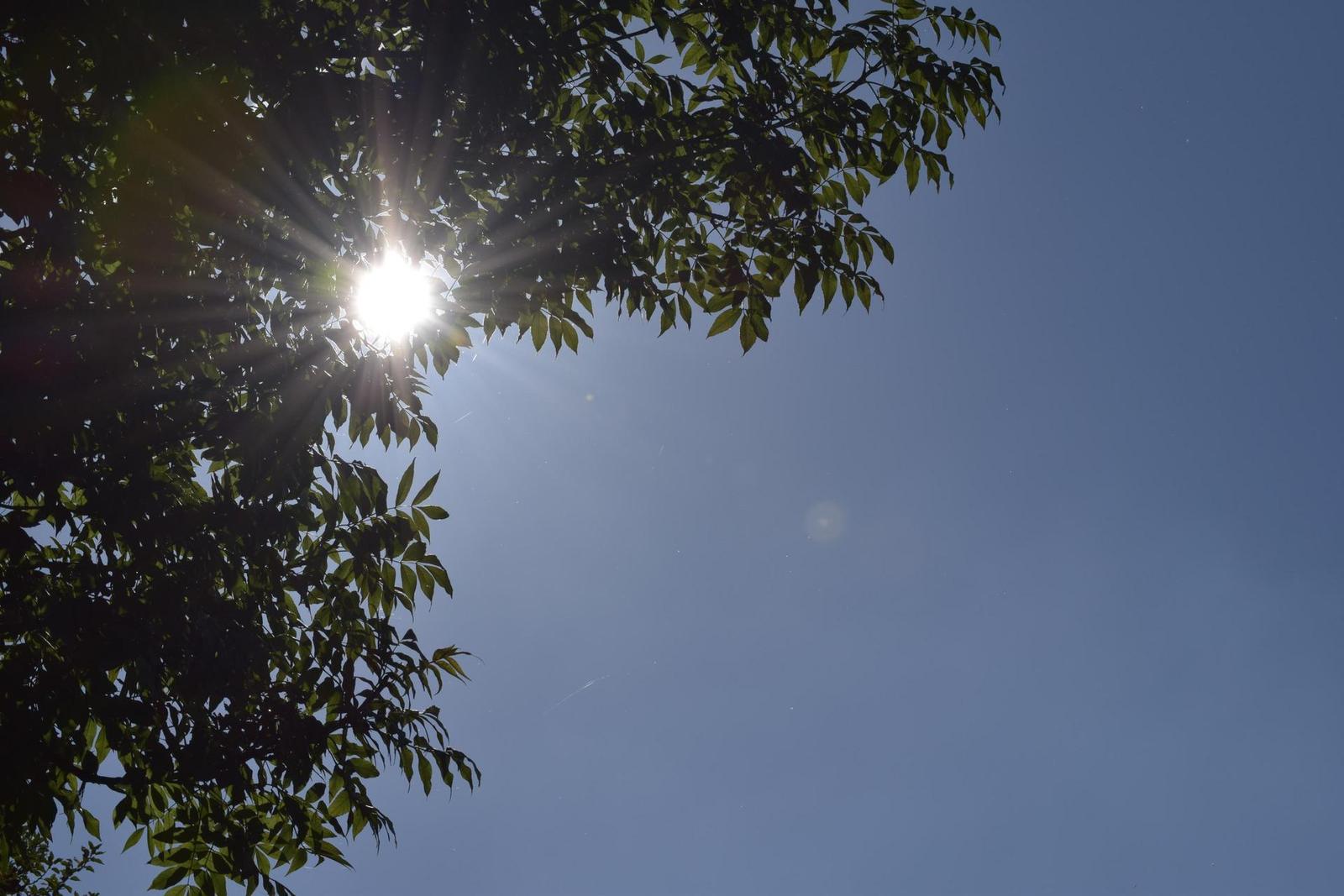 Nikon AF-S DX NIKKOR 55-200mm f/4-5.6G IF-ED VR