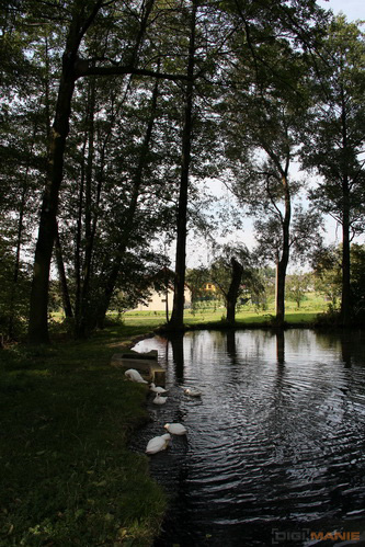 Canon EOS 550D: třídní premiant