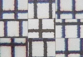 Nikon Coolpix B700: přírodovědec