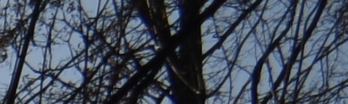 Nikon AF-P NIKKOR 18-55mm f/3.5-5.6G VR