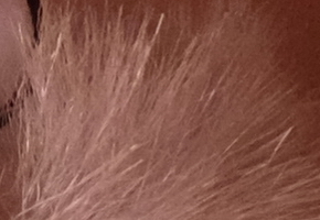 Fujifilm X-M1: našlapaná stylovka