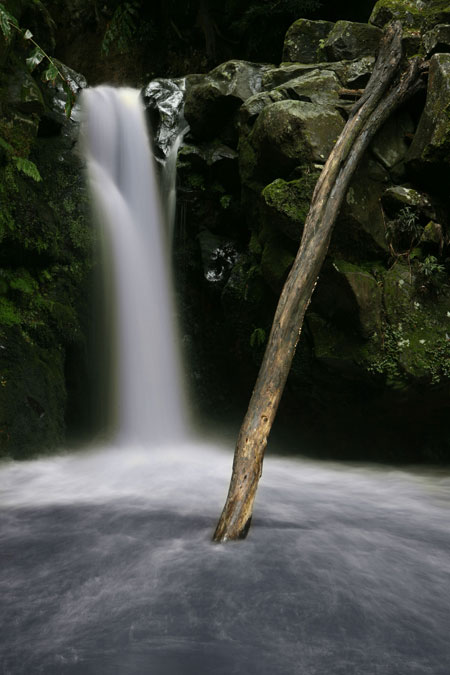 Použití filtrů v digitálním věku