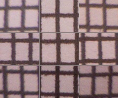 Panasonic Lumix LX7: kompaktní hvězda noci