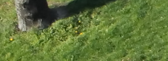 Panasonic Lumix S1R: sebevědomý vstup do FF