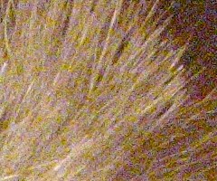 Canon PowerShot S90: malý zázrak