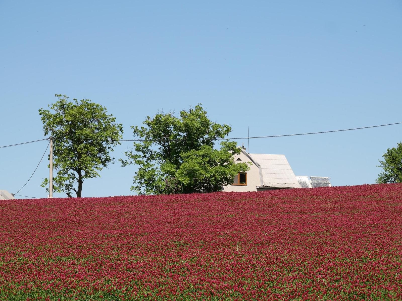 Panasonic Lumix GX9: postřehy z praxe