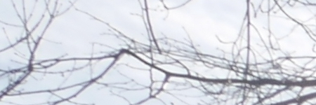 Panasonic Lumix G Vario 12-32mm f/3.5-5.6 ASPH. / MEGA O.I.S.