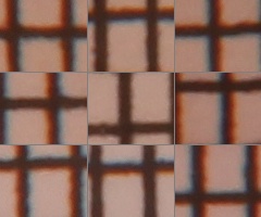 Canon EOS 550D: třídní premiant