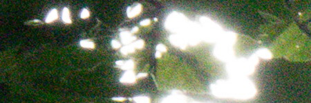 Sony Cyber-shot RX10: ultrazoom, jaký jsme chtěli