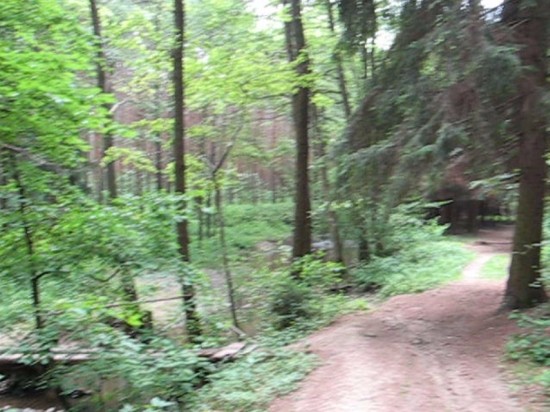 Canon PowerShot A700: Mezi kompaktem a ultrazoomem