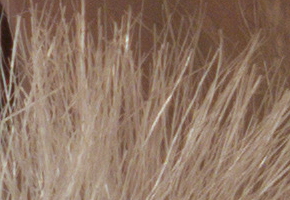 Canon PowerShot G15: lépe už to (asi) nepůjde