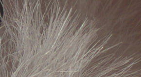 Sony Cyber-shot RX100 III (RX100M3): superSony