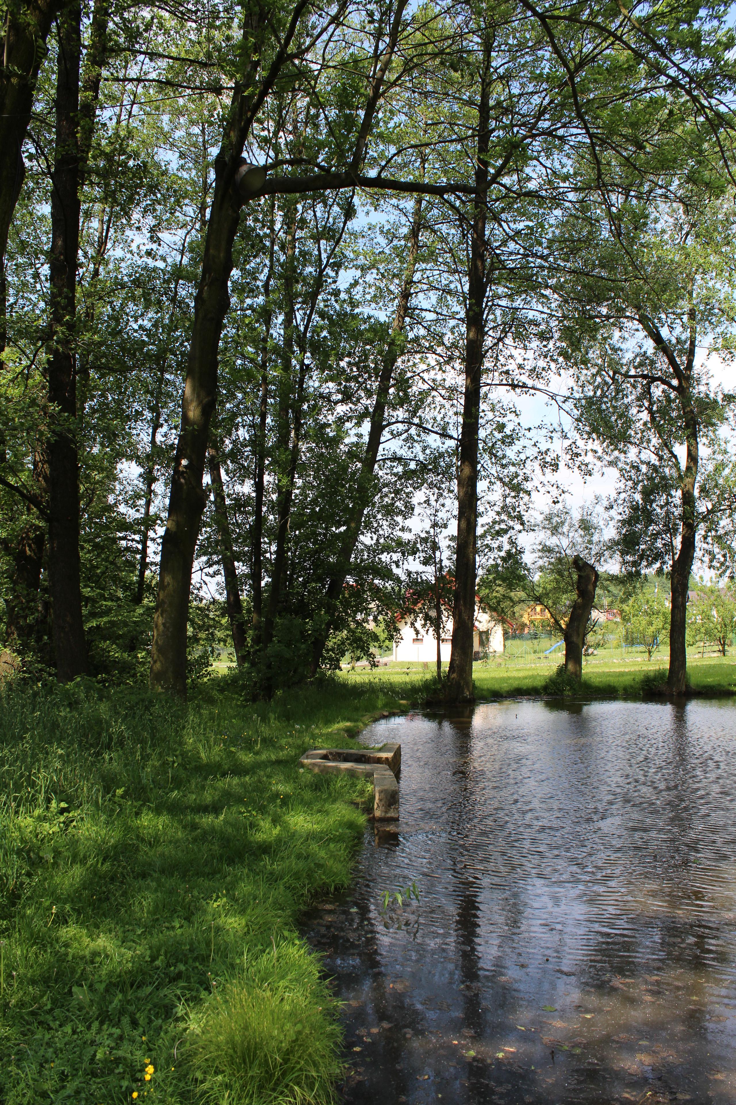Canon EOS 600D: pokračování rodové linie