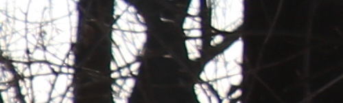 Canon EF-S 18-135mm f/3.5-5.6 IS Nano USM