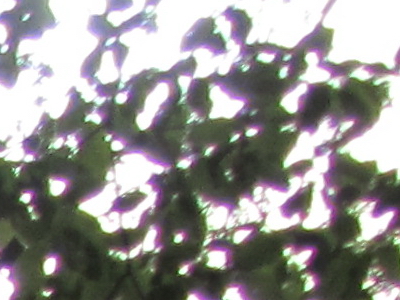 Canon PowerShot SX210 IS: s překvapivou zbraní